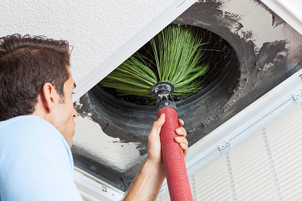 Best Professional Duct Cleaning Services  in Edmore, MI